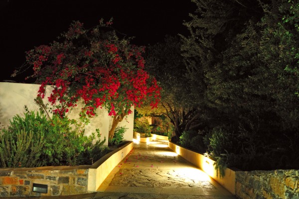 landscape lighting company 1